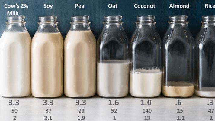 Which Plant Based Milk Should I Choose?