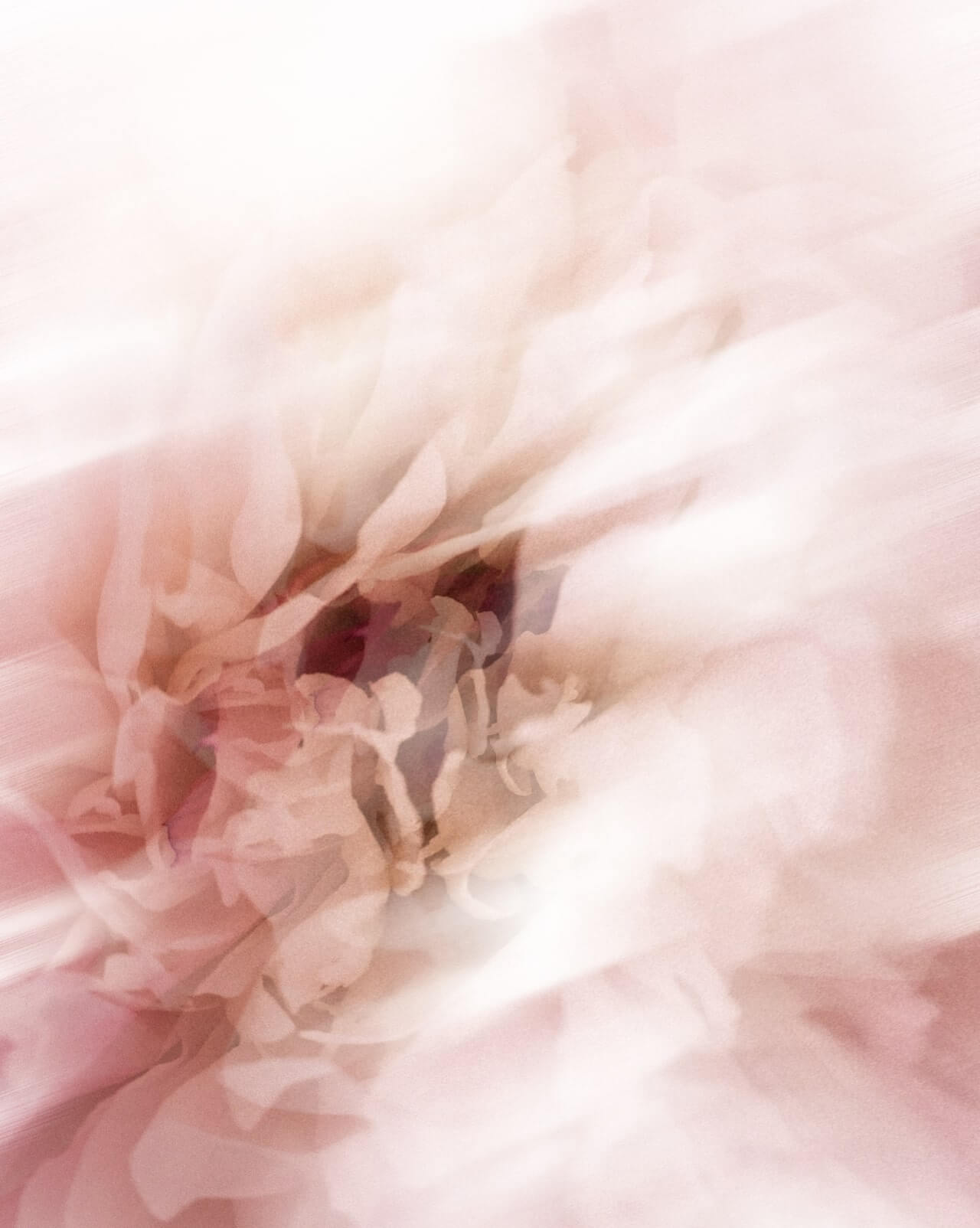 vegan skincare made with plant extracts