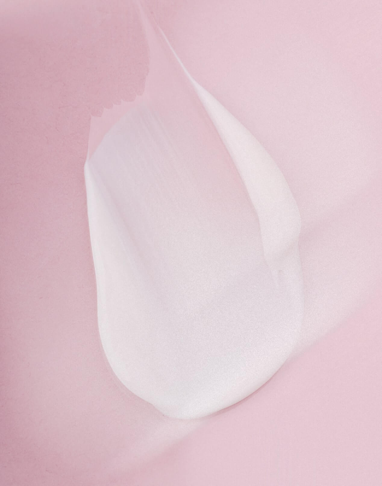 light daily day cream for balanced, calm skin