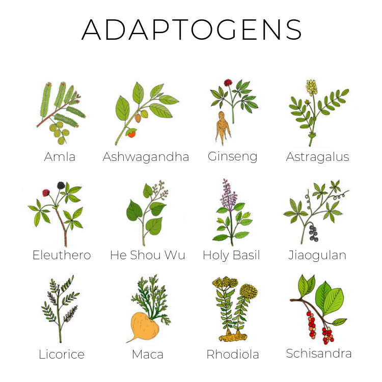 Using Adaptogens to Reduce Stress