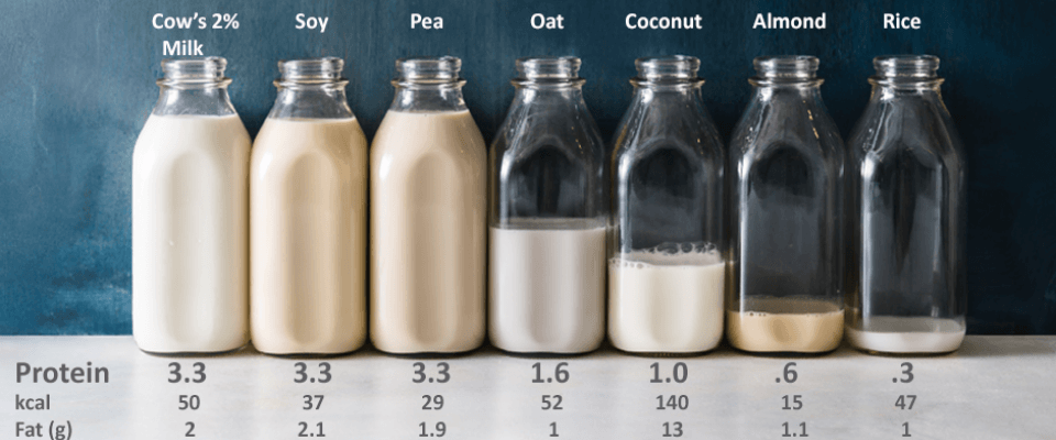 Which Plant Based Milk Should I Choose?